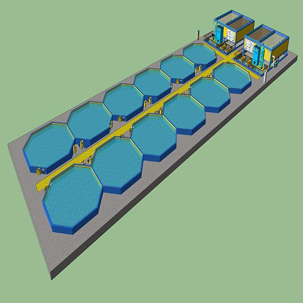 節能設施型工廠化循環水養殖系統